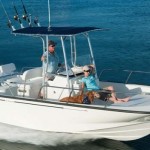 Boston Whaler 210 Montauk 3