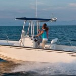 Boston Whaler 210 Montauk