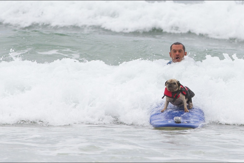 pugsurf