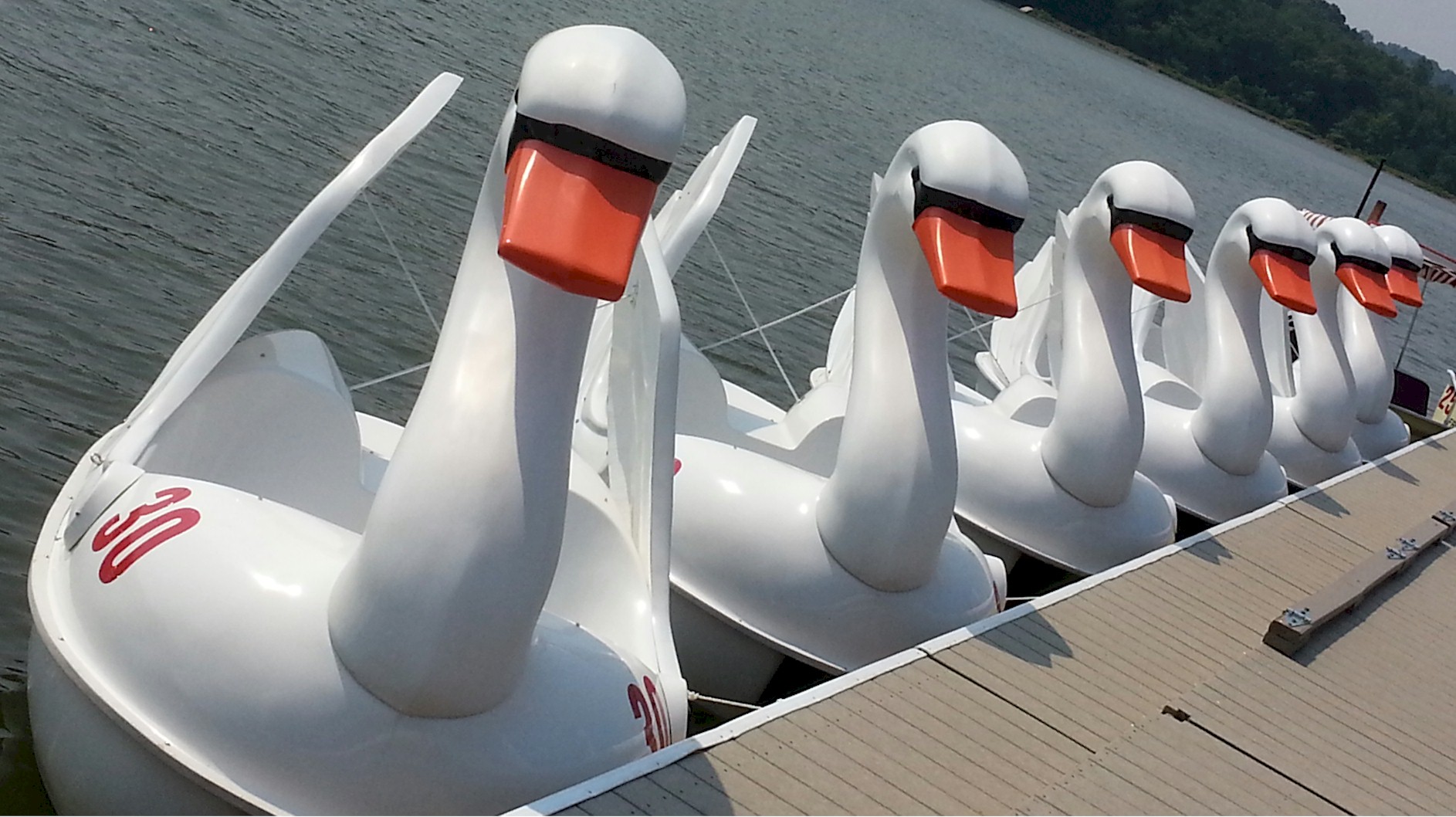 six-swan-pedal-boat-package-1